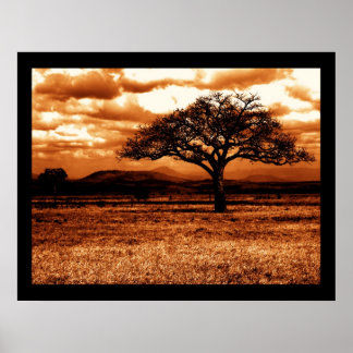 Póster Safari tanzaniano