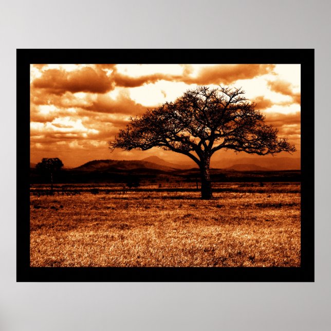 Póster Safari tanzaniano (Frente)
