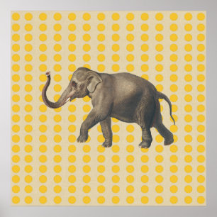 Póster Saffron Spice Moods Dots com Elefante