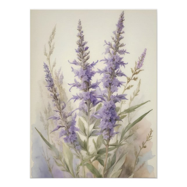 Póster Sage Russo (Frente)