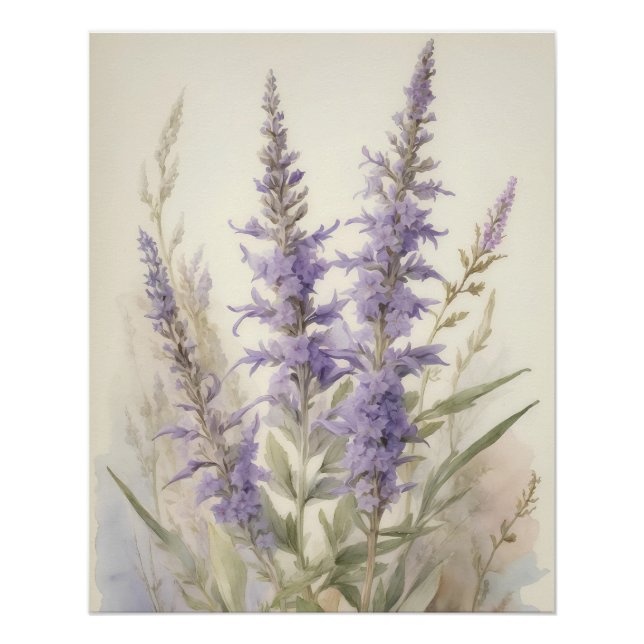 Póster Sage Russo (Frente)