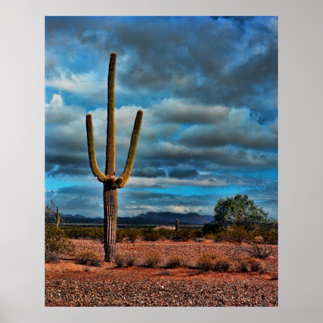 Poster Saguaro (Frente)