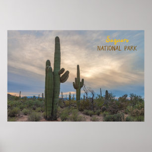 Poster Saguaro aos domingos