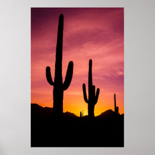 Poster Saguaro cactus no nascer do sol, Arizona