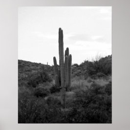 Poster Saguaro Cactus Preto e Branco 16x20