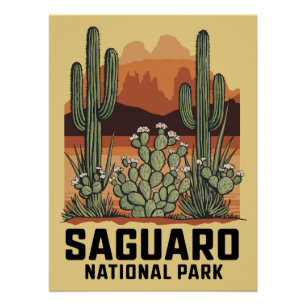 Póster Saguaro National Park Cactus