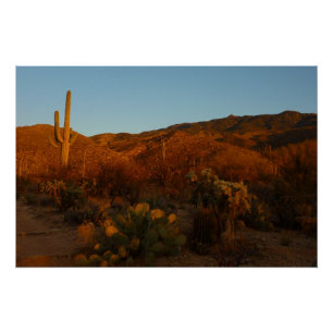 Póster Saguaro Sunset I Arizona Desert Landscape