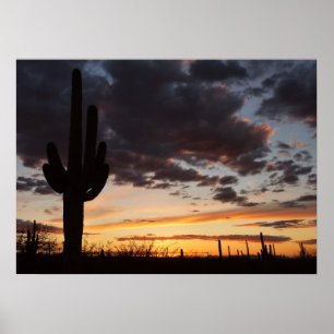 Póster Saguaro Sunset III Arizona Desert Landscape