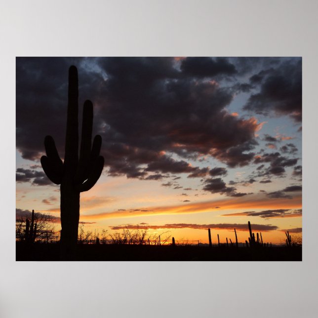 Póster Saguaro Sunset III Arizona Desert Landscape (Frente)