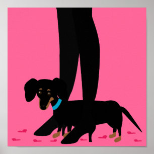 Póster Saída Noturna das Meninas - Dachshund