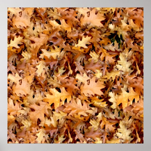 PÓSTER SAÍDAS DO OUTONO (Frente)