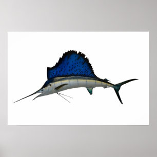 Póster Sailfish