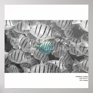 Poster Saindo da multidão