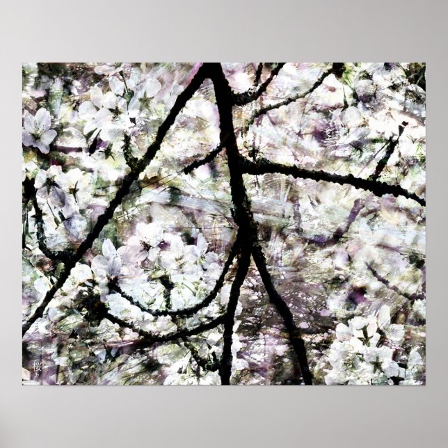 Poster Sakura (Frente)