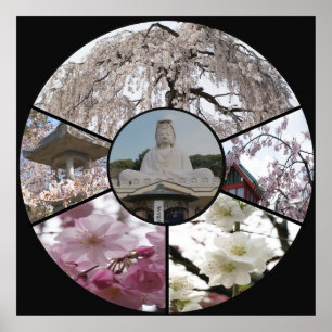 Poster Sakura Meditation_ by Adela Stefanov
