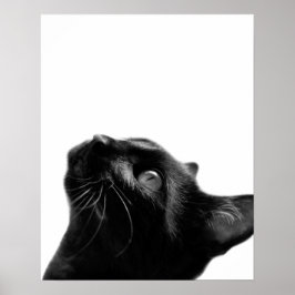 Póster Sala de crianças com animais de estimação de gatos