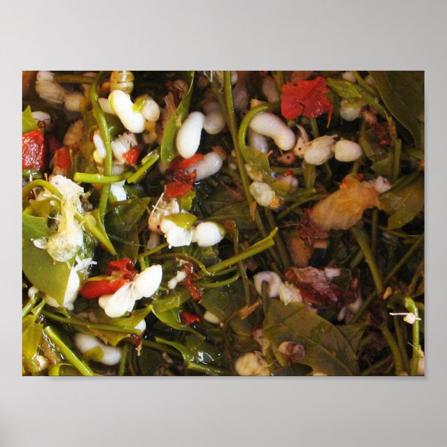 Poster Salada de Ovos de Formigas Vermelhas ... Comida da (Frente)