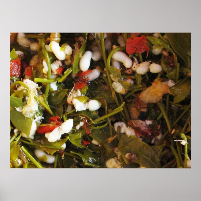 Poster Salada de Ovos de Formigas Vermelhas ... Comida da (Frente)