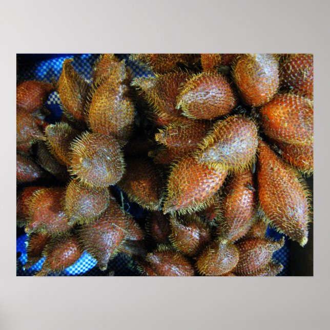 Poster Salak [Fruta Cobra] (Frente)