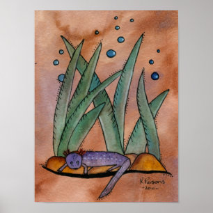 Póster Salamandra de Barton Springs