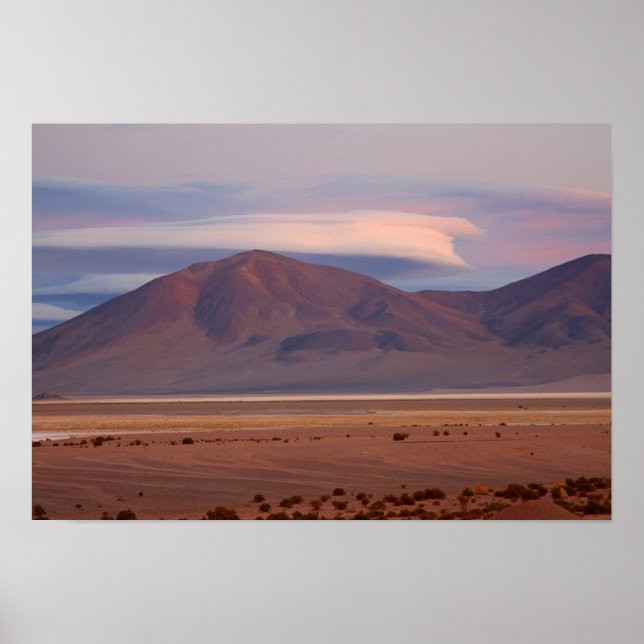 Poster Salar del Huasco, Chile (Frente)