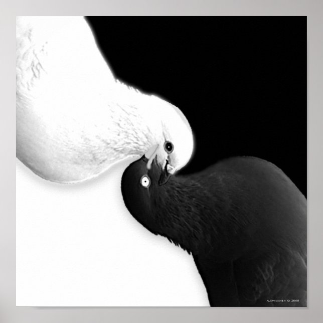 Póster Saldo por B e BB (Frente)