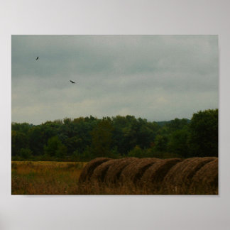 Poster Saldos do País