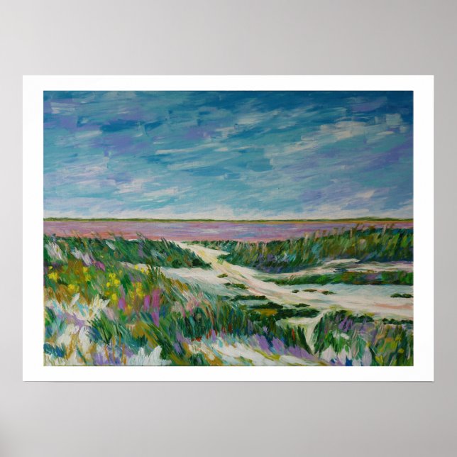 Poster salina de Camargue (Frente)