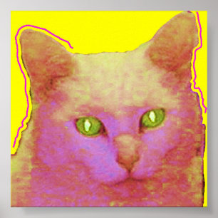 Póster Sally
