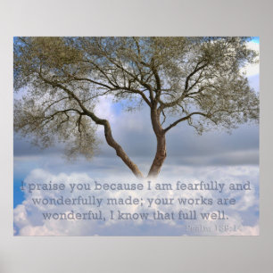 Poster Salm 139: Estou assustada e maravilhosamente criad