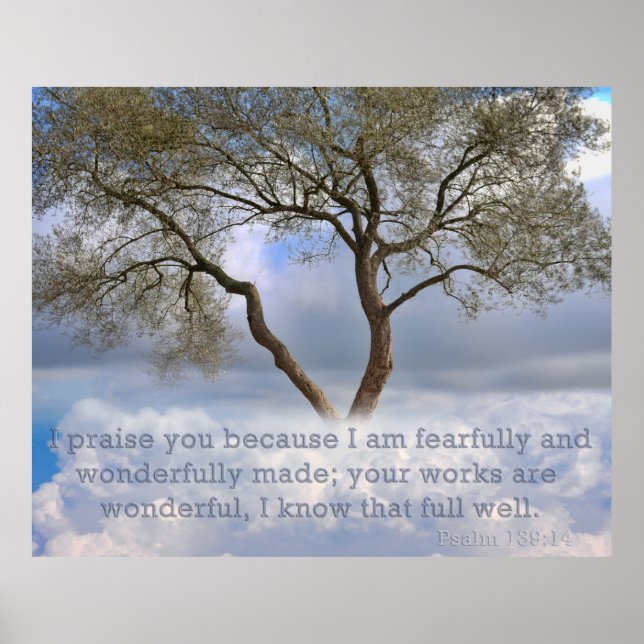 Poster Salm 139: Estou assustada e maravilhosamente criad (Frente)