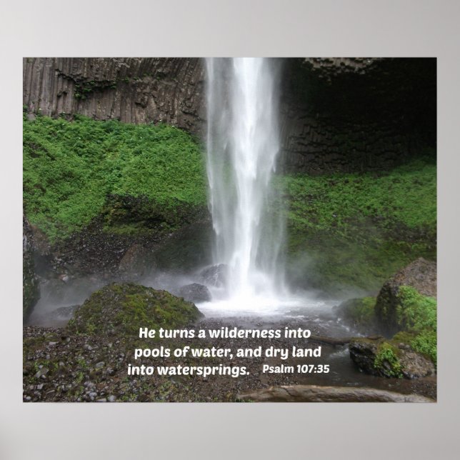 Poster Salmo 107:35 Ele transforma uma natureza selvagem  (Frente)