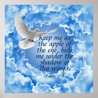 Poster Salmo 17:8