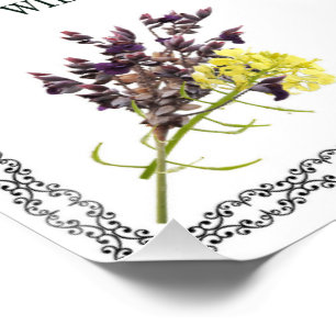Póster Salmo 1, Design De Flor Amarelo Cor-De-Rosa, Abenç