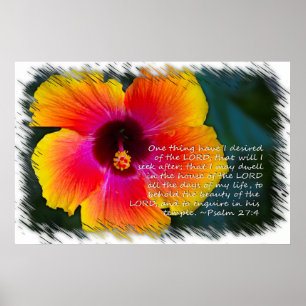 Poster Salmo 27:4 Hibiscus em Branco