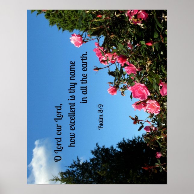 Poster Salmo 8:9 O Senhor nosso Senhor, quão excelente é  (Frente)