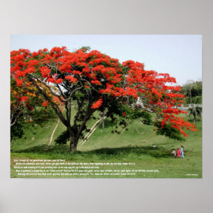 Poster Salmo 90 de Flamboyan
