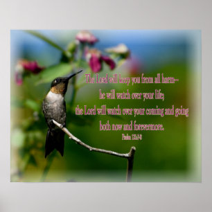 Poster Salmo Hummingbird 121:7-8