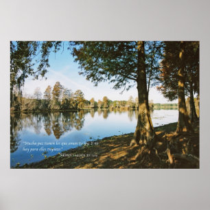 Póster Salmos 119:165