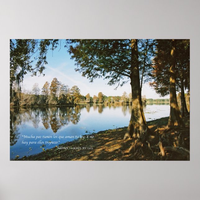 Póster Salmos 119:165 (Frente)