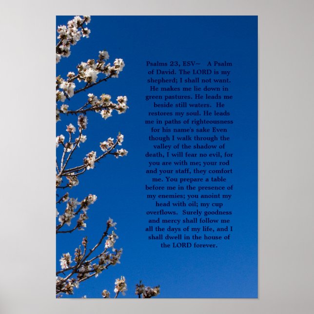 Poster Salms 23 (Frente)