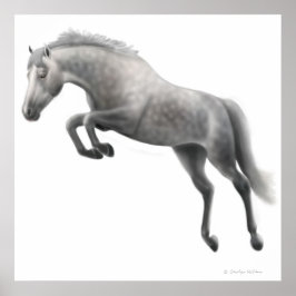Póster Saltando Cavalo de Cinza Vedada