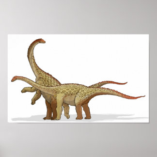Póster Saltasaurus - Carteira do Dinossauro Cretáceo