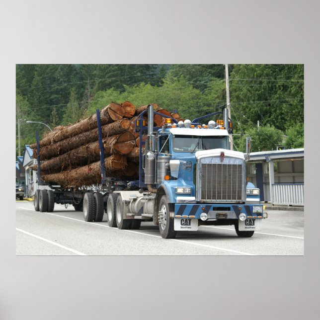 Póster Saltery Bay (Frente)