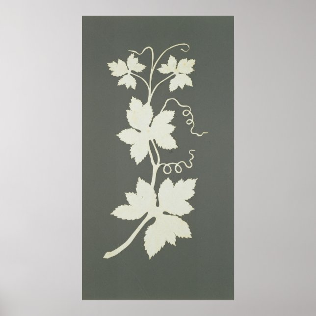 Póster Salto (Frente)