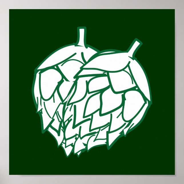 Poster Salto (Frente)