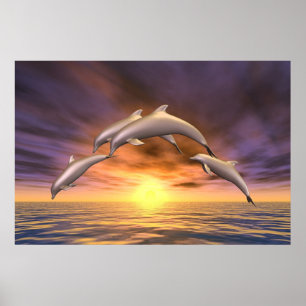 Póster Salto do nascer do sol