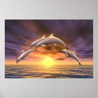 Póster Salto Sunrise