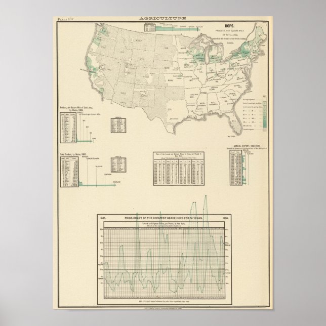 Póster Saltos (Frente)