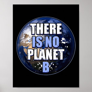 Poster Salvaguardar A Proteção Ambiental Mundial Não